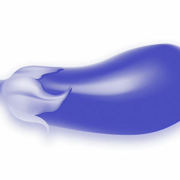 erectie