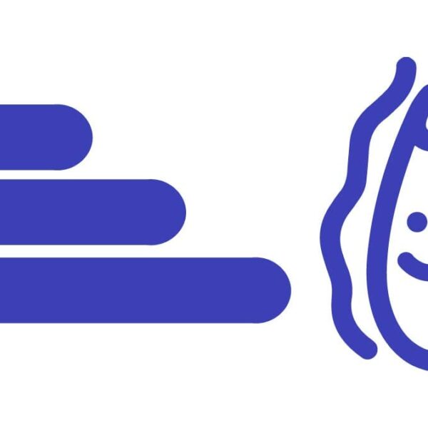 gemiddelde lengte penis
