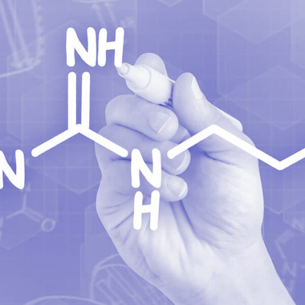 L-arginine Libido
