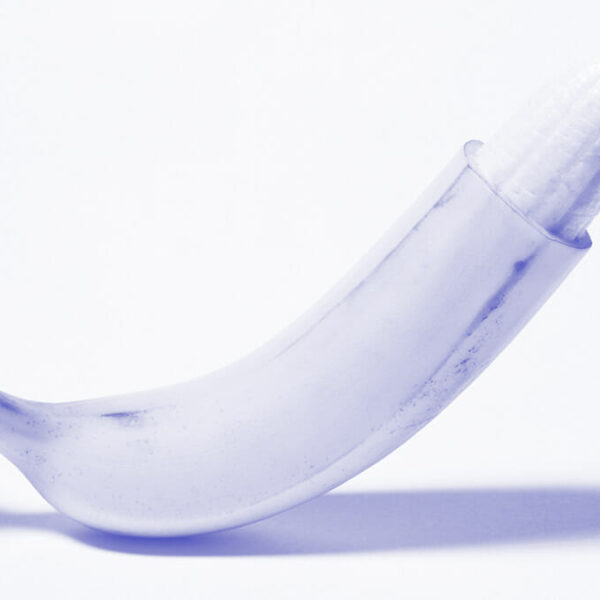 ochtenderectie