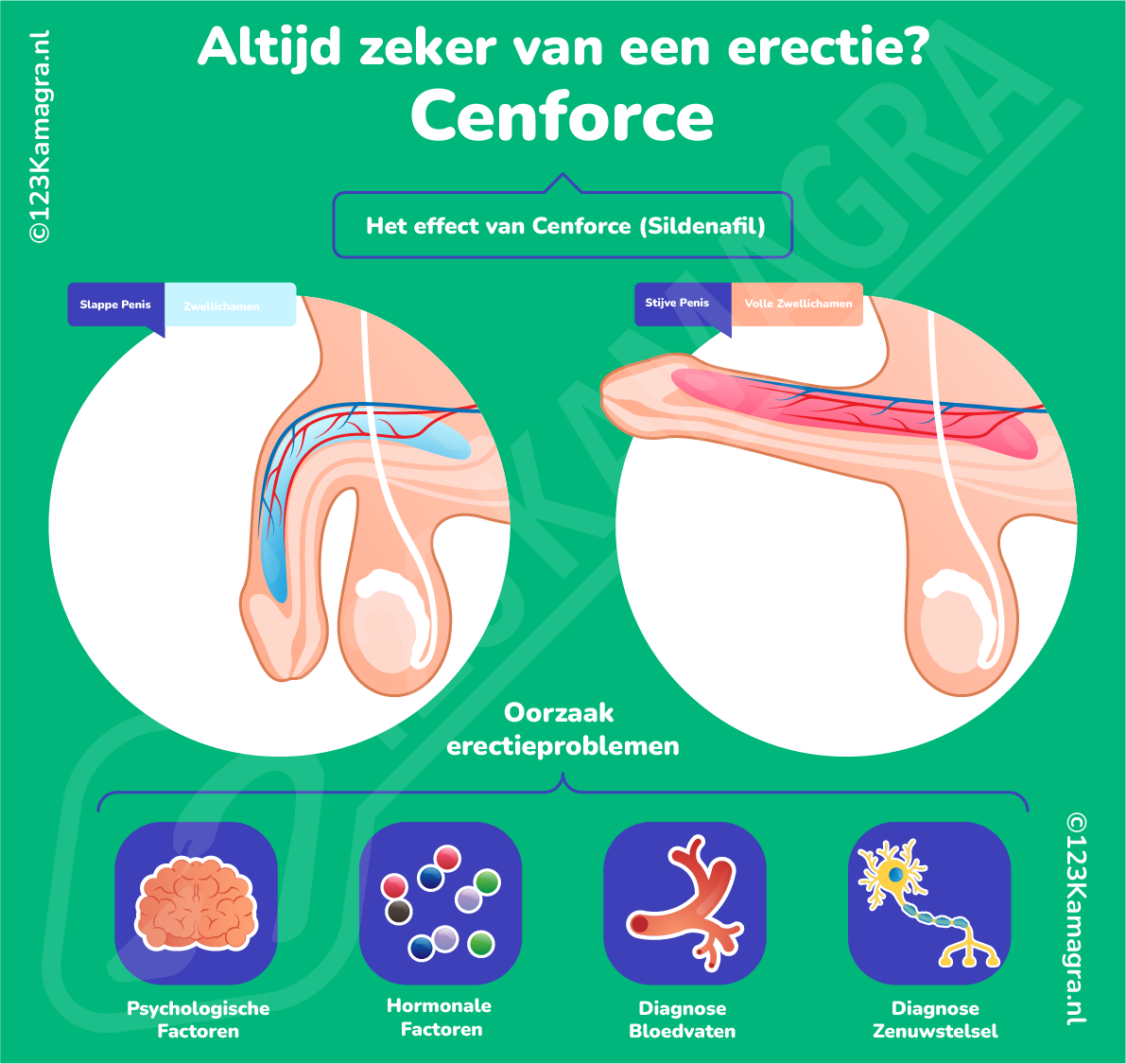 Cenforce Infographic