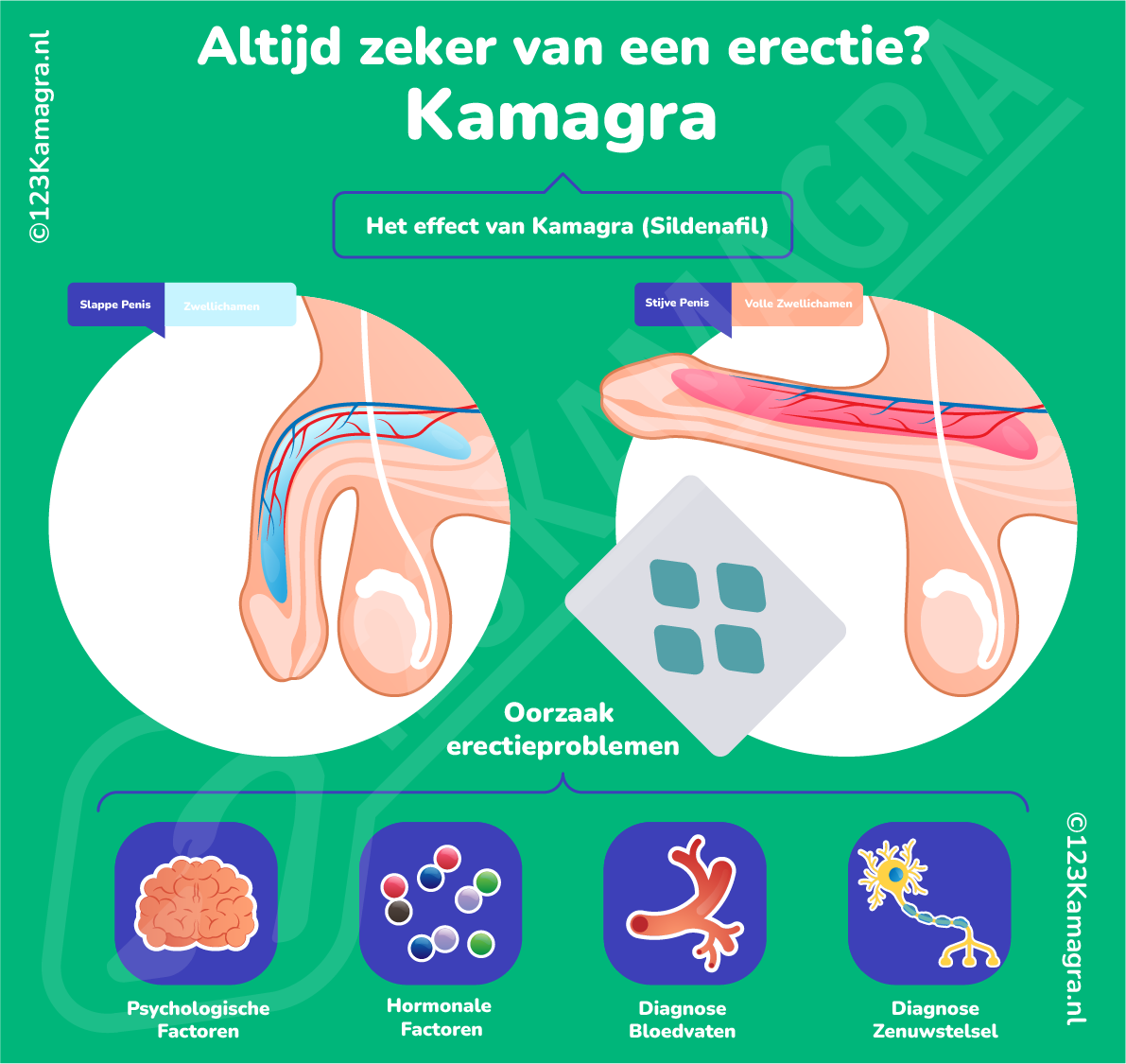 Infographic Kamagra