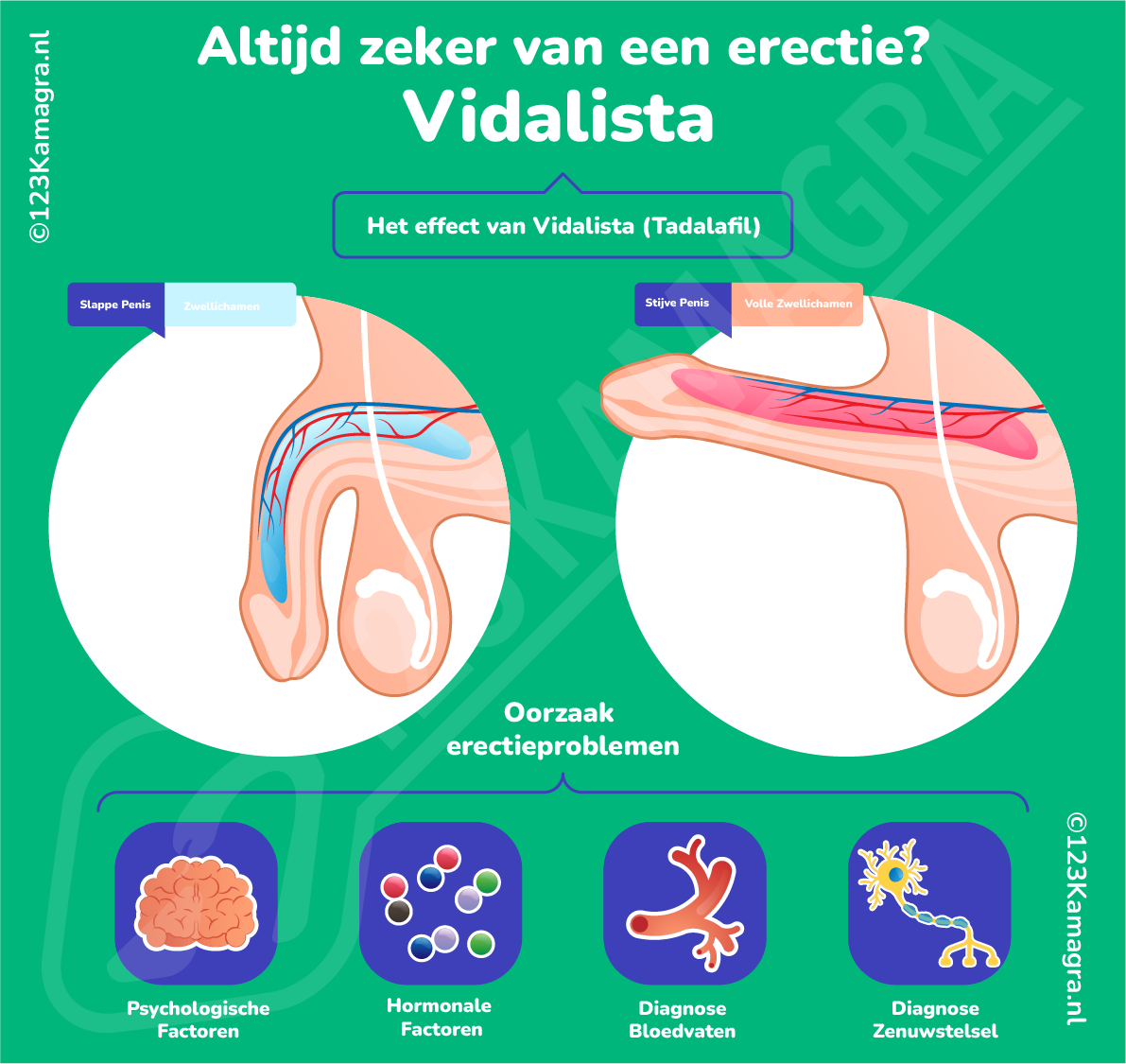 Infographic Vidalista