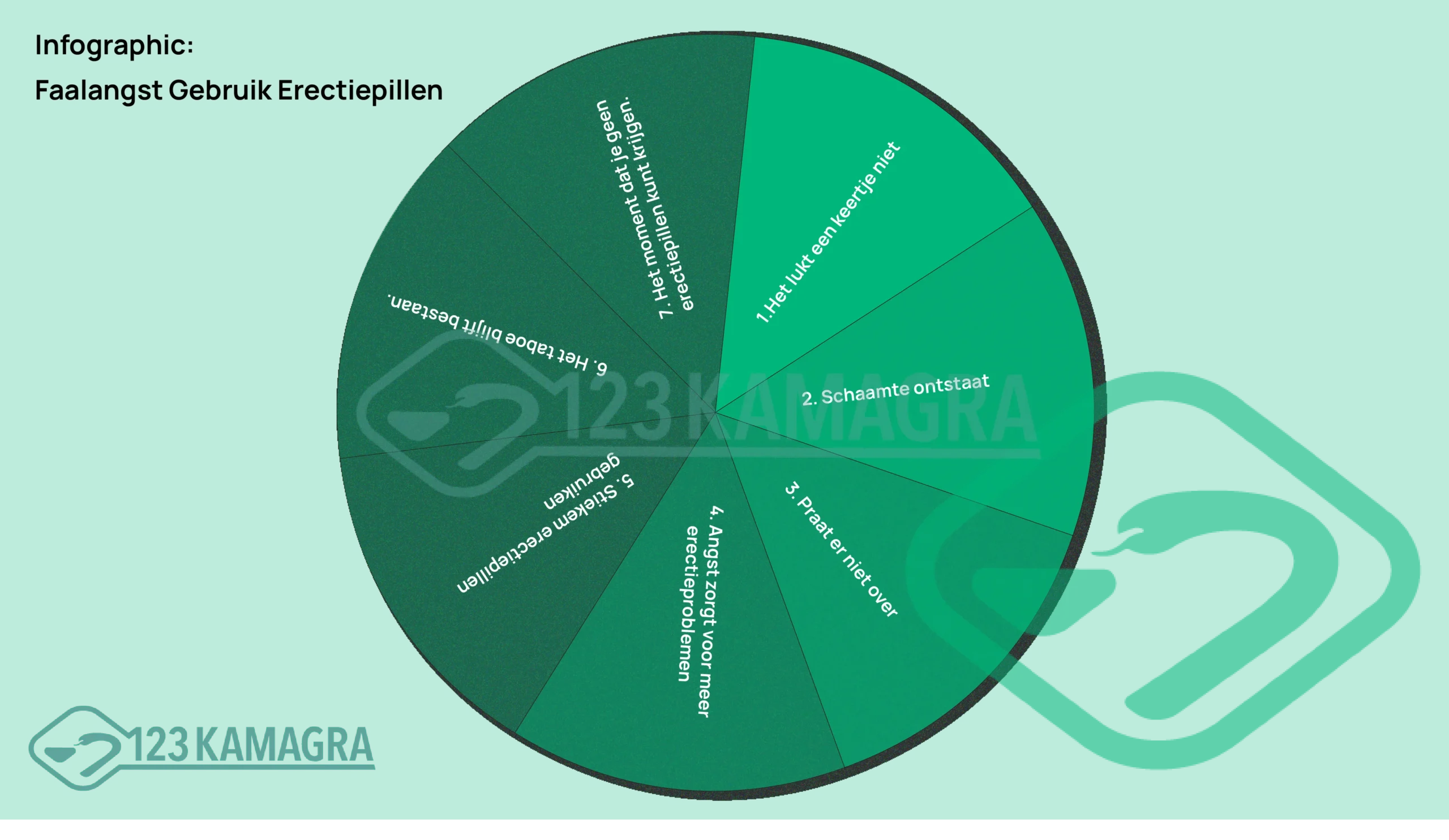 Erectiepillen infographic faalangst erectiestoornis
